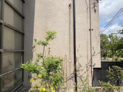箕面市で無料回収した後の実績写真