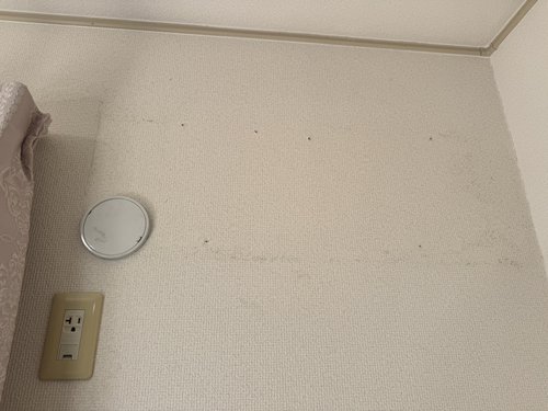 泉大津市で無料回収した後の実績写真