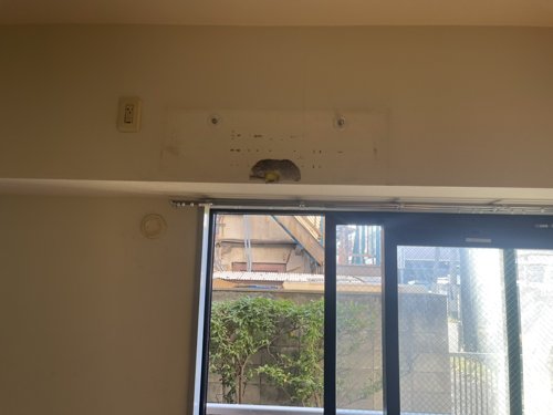 三鷹市で無料回収した後の実績写真